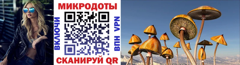 Галлюциногенные грибы Magic Shrooms  darknet клад  Никольск 